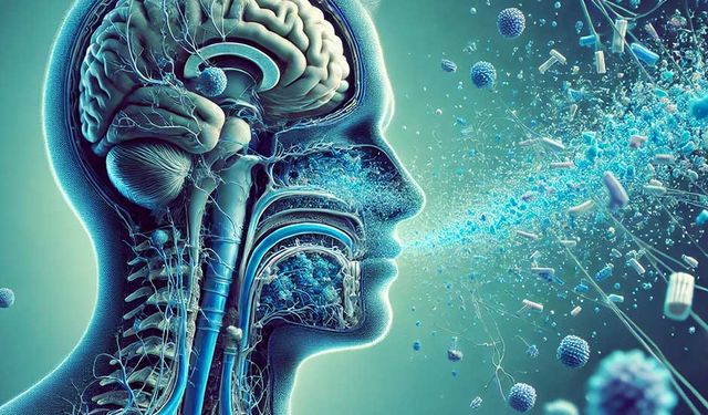 Mikroplastikler Artık Sadece Çevrede Değil, Damarlarımızda