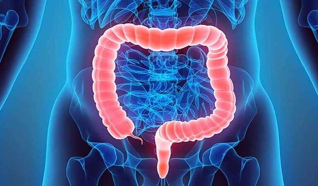 İrritabl Bağırsak Sendromu (IBS) Neden Kadınlarda Daha Yaygın? Yeni Çalışma Östrojene İşaret Ediyor