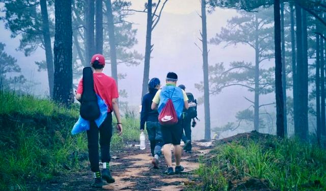 Ormanda Üç Gün, Bağışıklıkta Aylar Süren Güçlenme