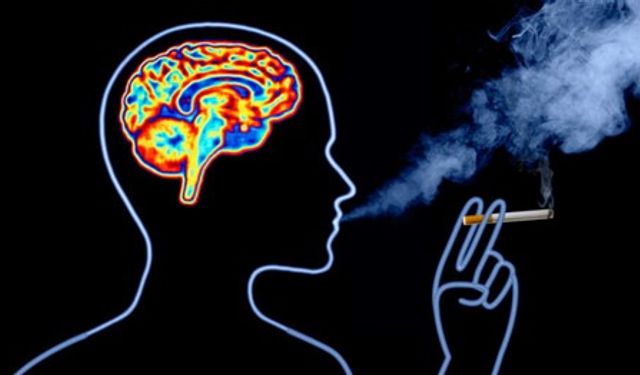 Yeni bilimsel değerlendirme: Sigara içmek demans ve Alzheimer riskini anlamlı düzeyde yükseltiyor