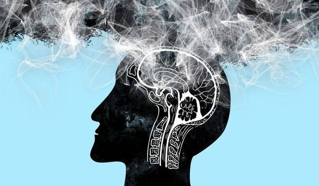 Odaklanamıyor, kelime bulamıyor musunuz? Uzmanlar beyin sisi tehlikesine dikkat çekti