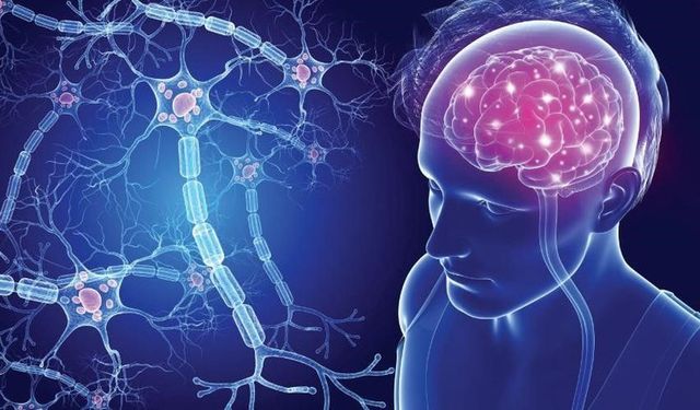 Günlük kimyasallar ve MS bağlantısı: PFAS ve PCB maruziyeti için dikkat çeken uyarı