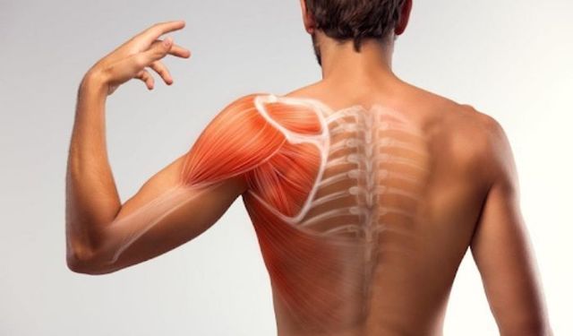 Spor Hekimi Dr. Gökhan Büyüklüoğlu uyardı: “Sadece ağrının geçmesi iyileştiğiniz anlamına gelmez”