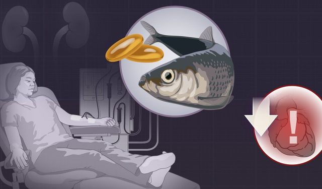 Kandaki Sessiz Tehlikeye Karşı Balık Yağı: Diyaliz Hastaları İçin Yeni Veri