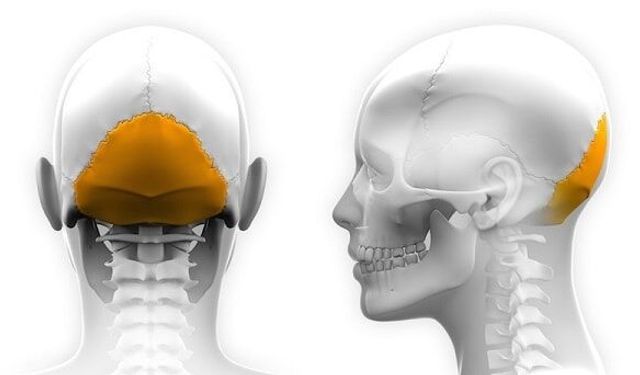 Migrenin Kaynağına Müdahale Eden Tedavi: Sinir Blokajı