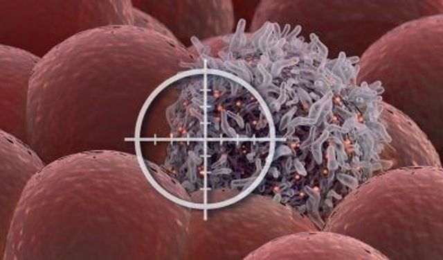 Mantle Hücreli Lenfomada Dört İlacın Birlikteliği Bilim Dünyasını Heyecanlandırdı