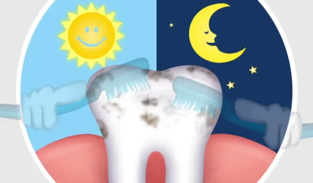 Gece Diş Fırçalamamak Ağızda İltihabı Artırabilir: Araştırmalar Sistemik Etkilere İşaret Ediyor