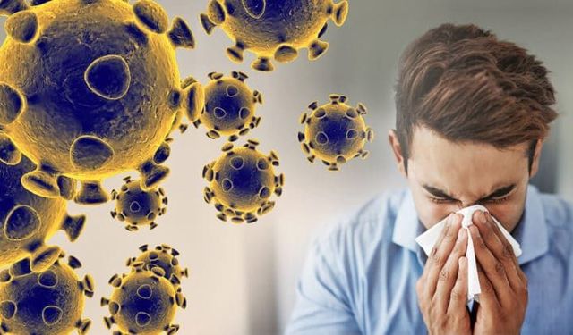 Manşetler Sert, Veriler Temkinli: 2025–26 Grip Sezonu Gerçeği