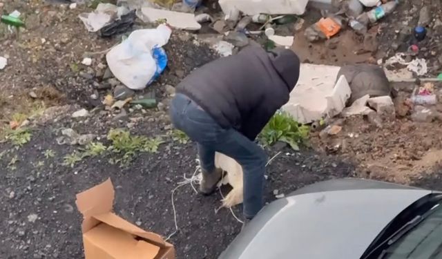 Üst Geçit Planlandı, Horoz Kesildi: Zonguldak’ta Sosyal Medya Ayağa Kalktı