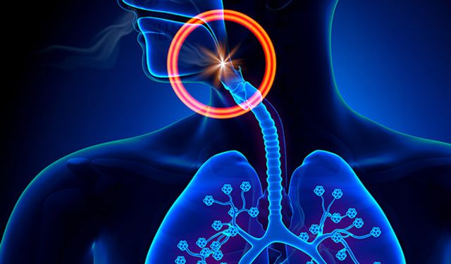 Kimse Yoksa Hayat Kurtaran Bilgi: Nefes Borusuna Cisim Kaçtığında Ne Yapılmalı?