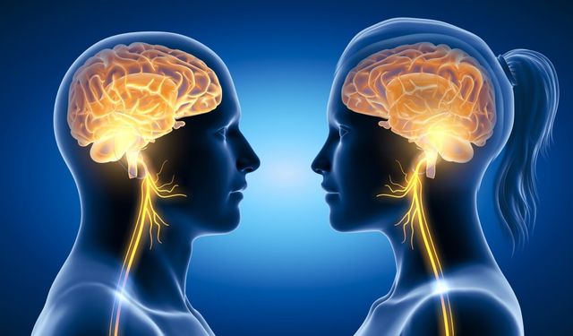 Bilimden Yeni Sinyal: Cinsel Aktivite, Kadınlarda Sağlık Döngüsünü Olumlu Etkiliyor