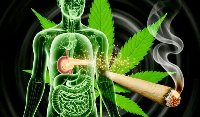 Esrar Kullanımı ve Diyabet: Büyük Ölçekli Araştırmadan Çarpıcı Bulgular