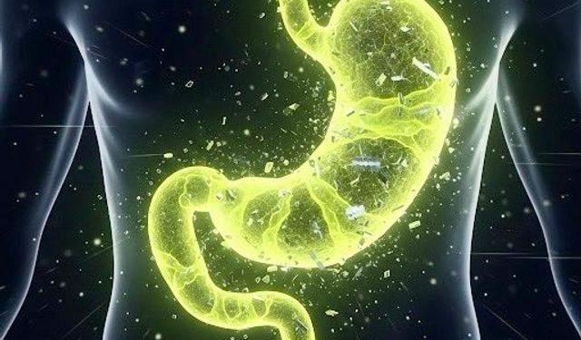 Mide Asidi Metali Eritiyor, Peki Bizi Neden Eritmiyor? Bilim Açıklıyor