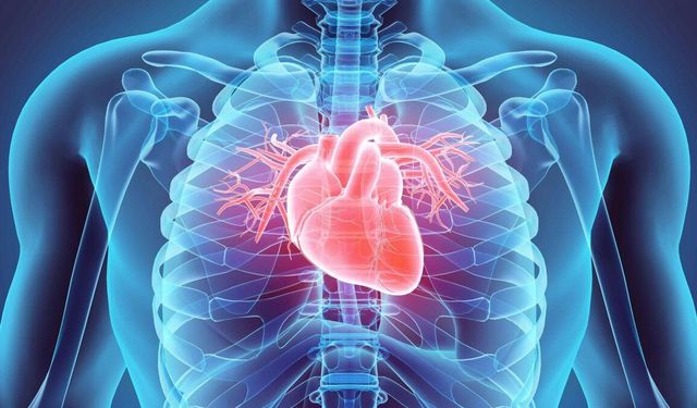 Yeni araştırma mRNA aşıları ve kalp iltihabı arasındaki gizli mekanizmayı ortaya koydu