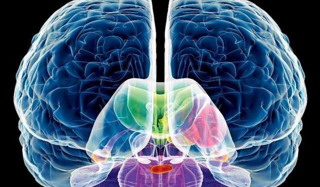 Huntington Hastalığı Nedir? Sessiz İlerleyen Genetik Tehlike