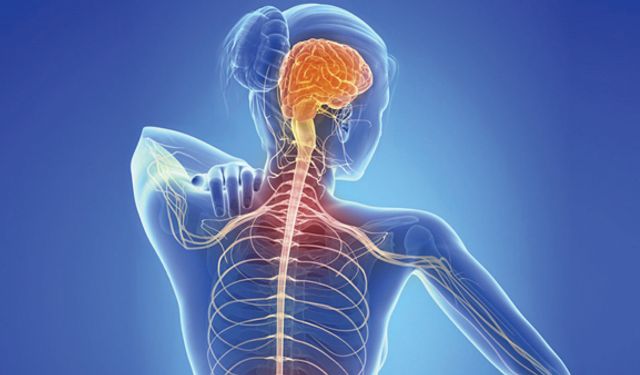 Otoimmün Hastalık Nedir? Bağışıklık Sistemi Neden Kendi Vücuduna Saldırır?
