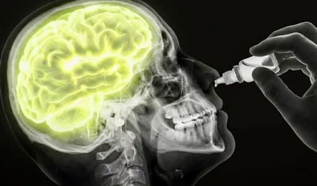 Burun Damlasıyla Beyin Tümörüne Karşı Yeni Umut