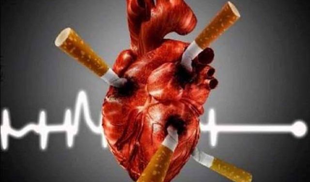 Sigara ve Alkol Kalbin Ritmini Sessizce Bozuyor: Kulakçıklar Alarm Veriyor