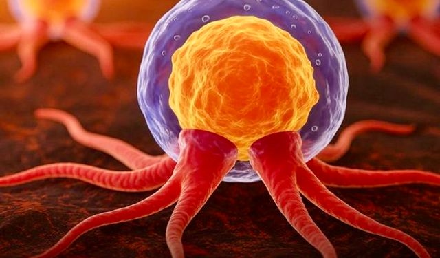 Glioblastoma İçin Kişiye Özel mRNA Aşısı: Erken Faz Çalışmadan Umut Veren Bulgular