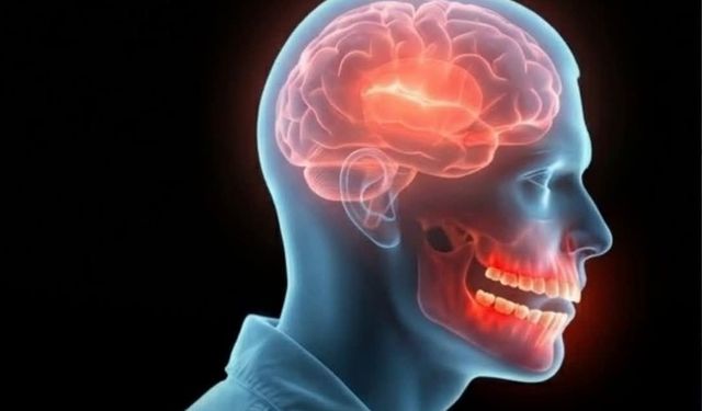 Ağız Sağlığı İhmal Edildikçe Beyin Riskte