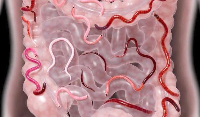 Makat Kaşıntısı Masum Değil! Kurt Belirtisi Olabilir