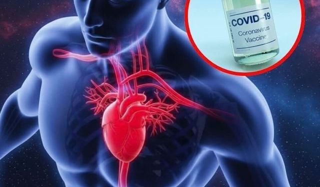 COVID-19 Aşısı Kalp Krizi ve İnme Riskini Azaltıyor mu?