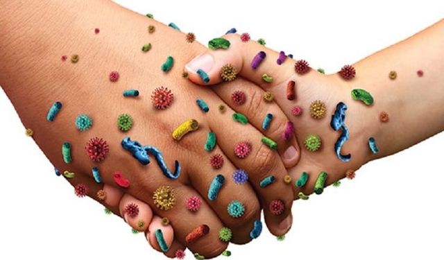 El Sıkışmadan Önce Düşünün: Grip Böyle Yayılıyor