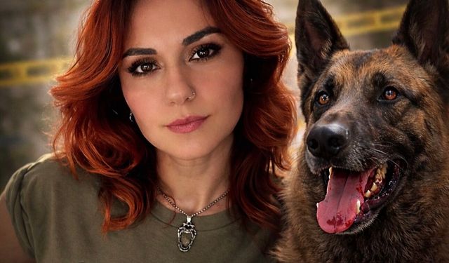 Arkansas’ta Köpek Saldırısı: 34 Yaşındaki Canan Akkoyun Hayatını Kaybetti