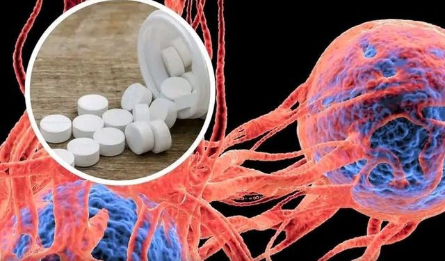 Farmakoloji Dergisinde Yayınlandı: Parazit İlacı Mebendazol Kolon Kanseri Hücrelerini Baskıladı