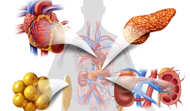 Metabolik Sendrom Sessiz Tehlike: Uzmanlar Uyardı