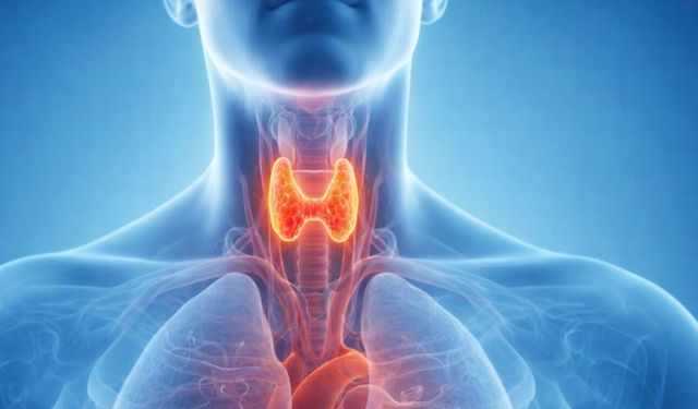 Sürekli Halsizlik ve Kilo Sorunu: Tiroidinizi Kontrol Ettirdiniz mi?