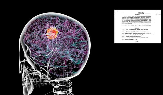 Deşifre Edilen CIA Belgesi Sosyal Medyayı Salladı: Kanserin İlacİ Gizlendi mi?