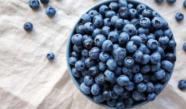 Bilim Açıkladı: Yaban Mersini Zihinsel Performansı Artırıyor