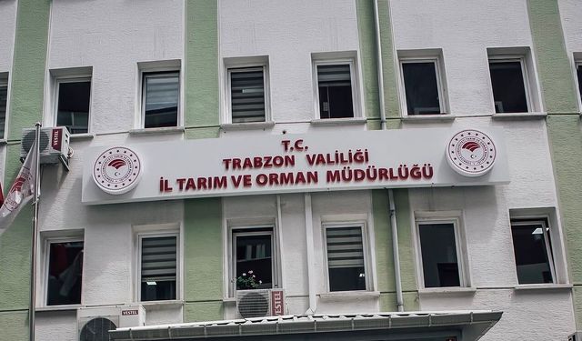 Trabzon’da Şok İddia: “Mobbing Yüzünden Ayrıldım”