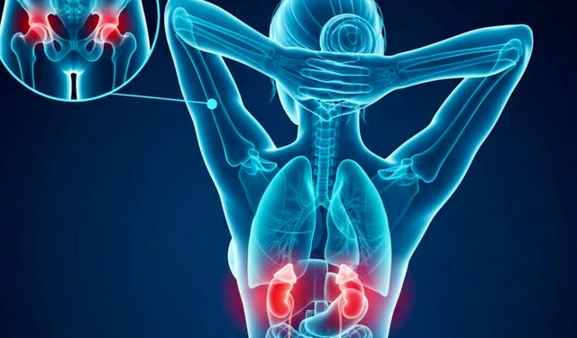 Kronik Stres Sadece Zihni Değil, Kasları da Tüketiyor