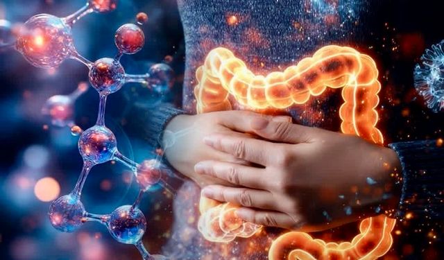 Hastalıkta İştah Neden Kesilir? Bilim Açıklıyor