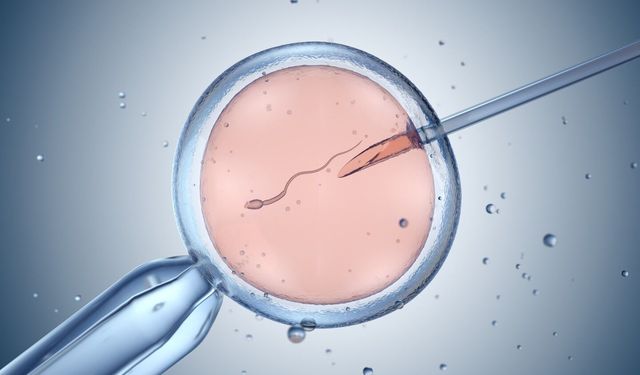 Tarihi Başarı: Tüp Bebekle Doğanların Sayısı 12 Milyonu Aştı