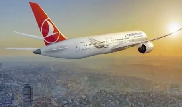 THY’de yeni yönetim kurulu belli oldu: Başkan Murat Şeker, genel müdür Ahmet Olmuştur