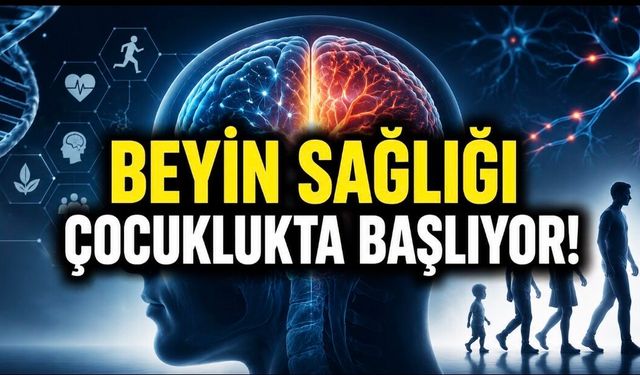 Beyin Sağlığı Sadece Genetik Değil: Yaşam Tarzı da Belirleyici