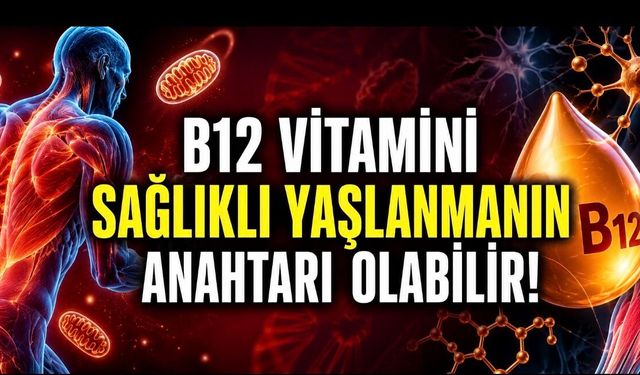 B12 Vitamini Sağlıklı Yaşlanmanın Gizli Anahtarı Olabilir