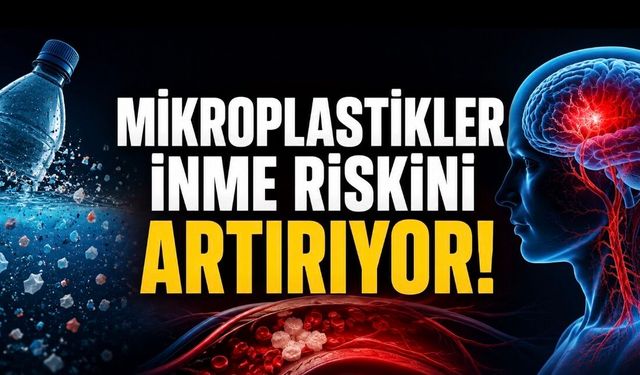 Mikroplastik Alarmı: Kıyı Bölgelerinde İnme ve Kronik Hastalık Riski Artıyor