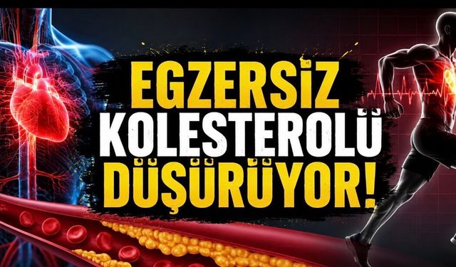 Egzersiz Kolesterolü Düşürür mü? Uzmanlardan Kalp Sağlığı İçin Kritik Uyarı