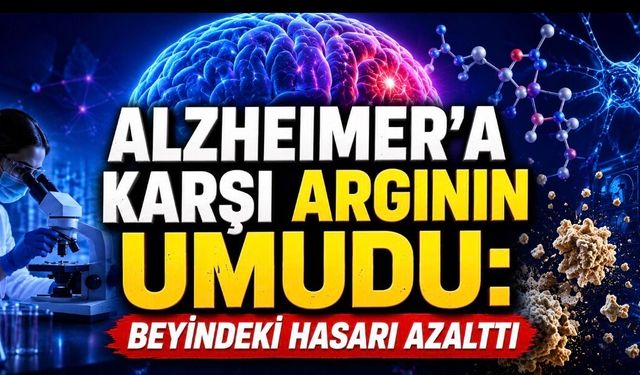Alzheimer’a Karşı Umut Veren Keşif: Ucuz Bir Amino Asit Beyindeki Hasarı Azalttı