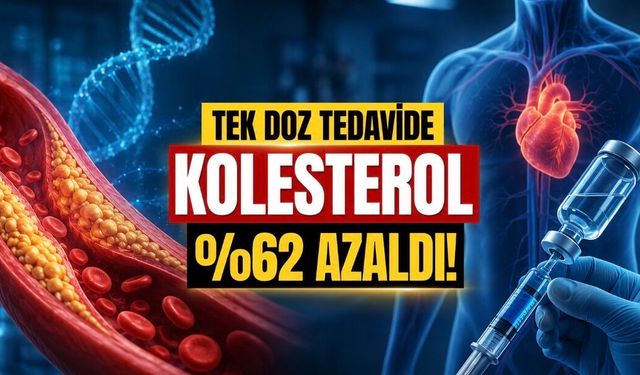 Tek Dozluk Kolesterol Tedavisinde Dikkat Çeken Sonuç: LDL Yüzde 62 Düştü