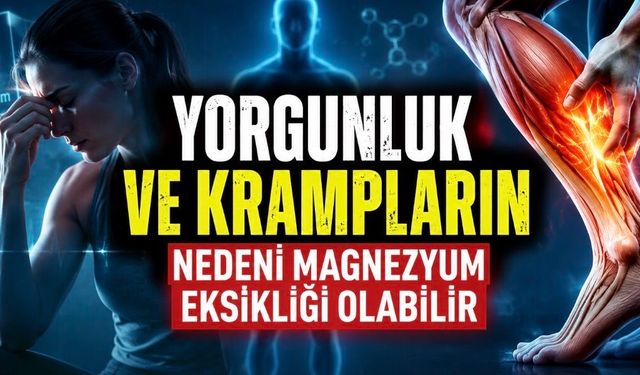 Sessiz Eksiklik Alarmı: Magnezyum Yetersizliği Vücudu Nasıl Etkiliyor?