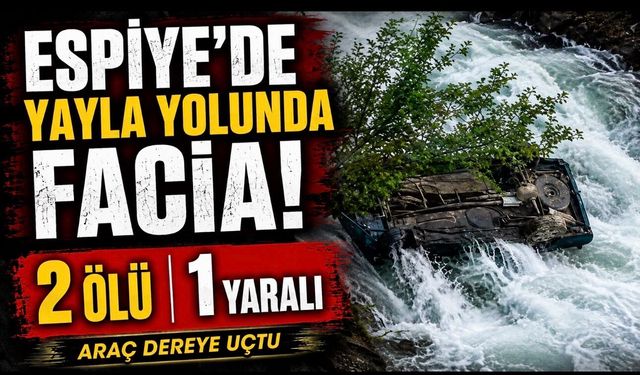 Espiye’de Yayla Yolunda Facia: Sefer Akgün ve Nazmiye Akgün Hayatını Kaybetti