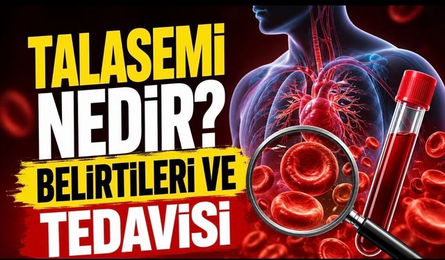 Talasemi (Akdeniz Anemisi) Nedir, Nasıl Anlaşılır? Belirtiler ve Tedavi Yolları