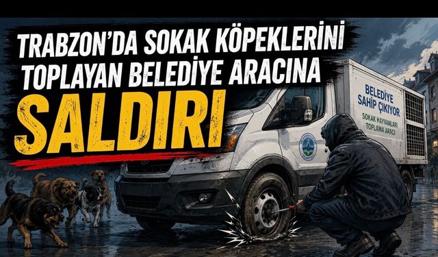 Trabzon’da sokak köpeklerini toplayan belediye aracına saldırı