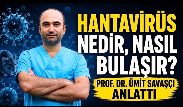 Hantavirüs nedir, nasıl bulaşır, tedavisi var mı?