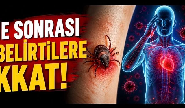 Kırım Kongo Kanamalı Ateşi Nasıl Anlaşılır? Belirti, Risk ve Tedavi Süreci